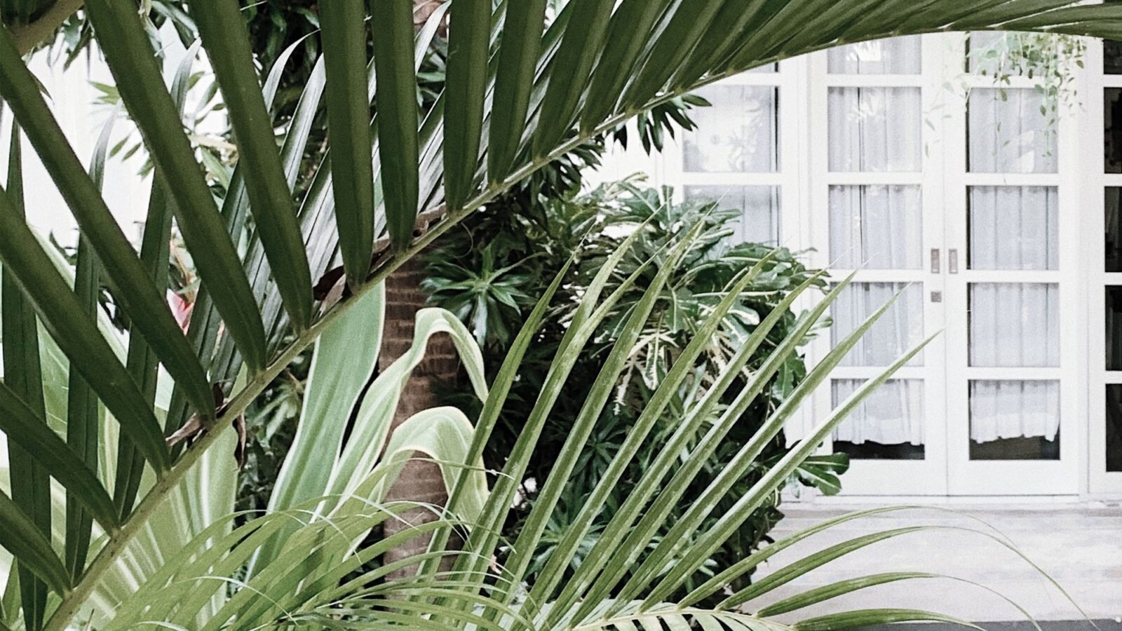 Secluded patio screened by lush palm leaves and dense tropical plants.